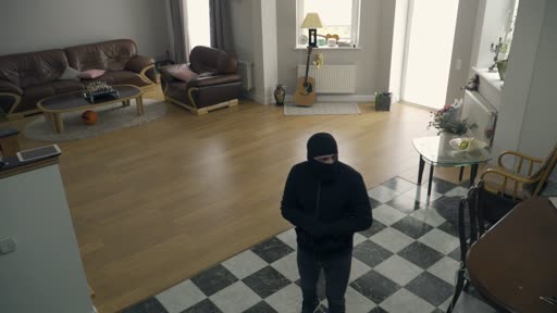 Intruder indoors
